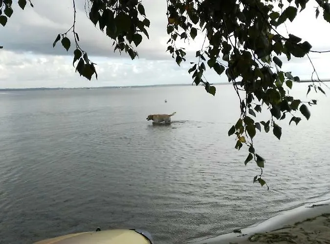 Mobil 43 Dans 4 Etoiles 4*